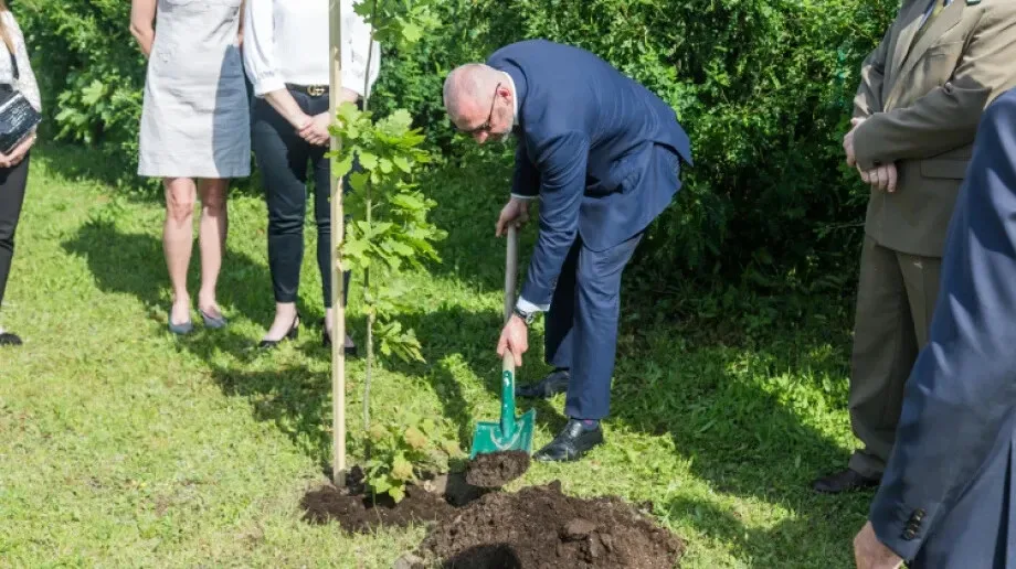 Aleja Dębów powstała na terenie 'Ekonomika' (zdjęcia)