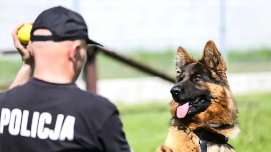 'Na czym polega służba psa w Policji?' (wideo)