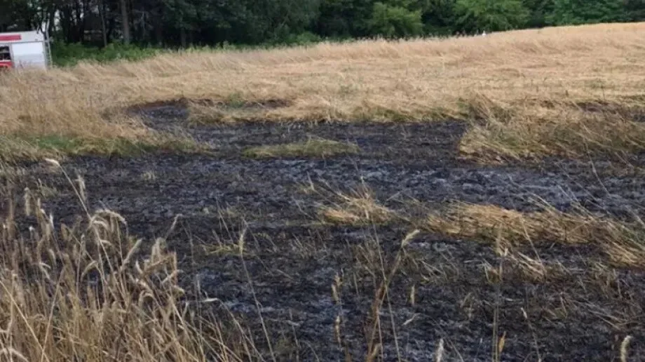 Pożar pola we wsi Stok - szybka interwencja strażaków