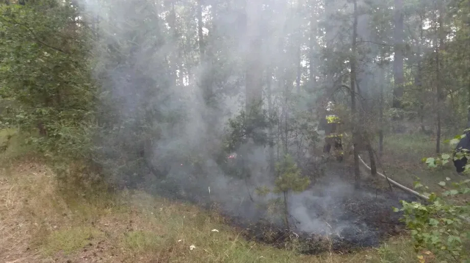 Pożar ścierniska w Gąsiorowie