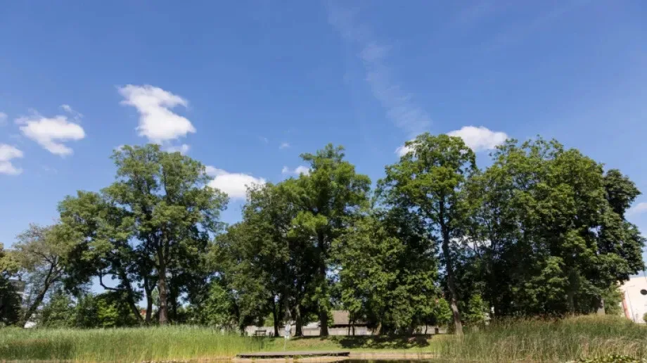 Czwartek będzie upalny (wideo)