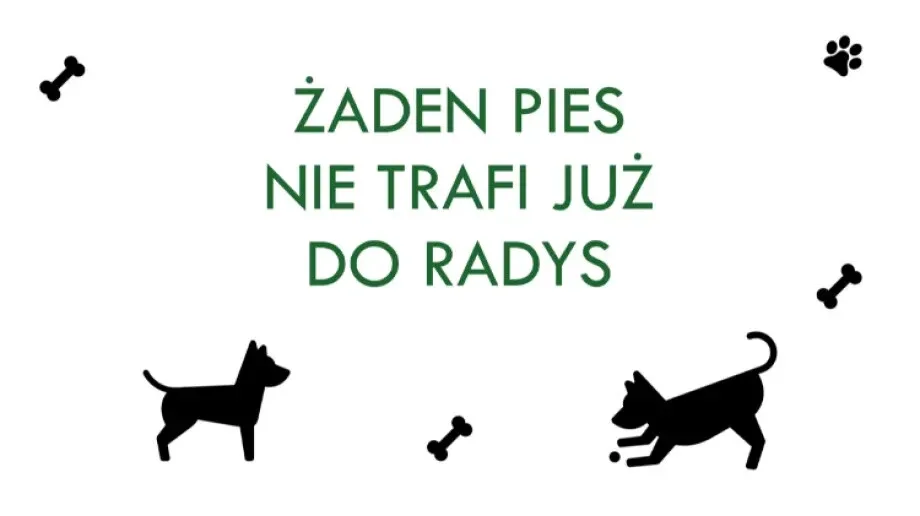 Żaden pies nie trafi już do Radys