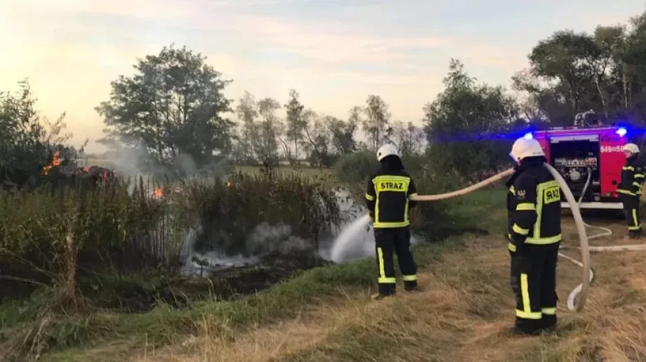 Pożar przydrożnych krzaków - OSP Boguty-Pianki 