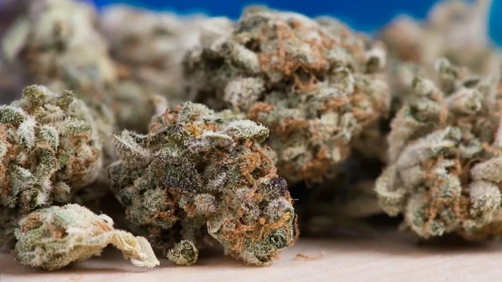 Marihuana u 33-latka