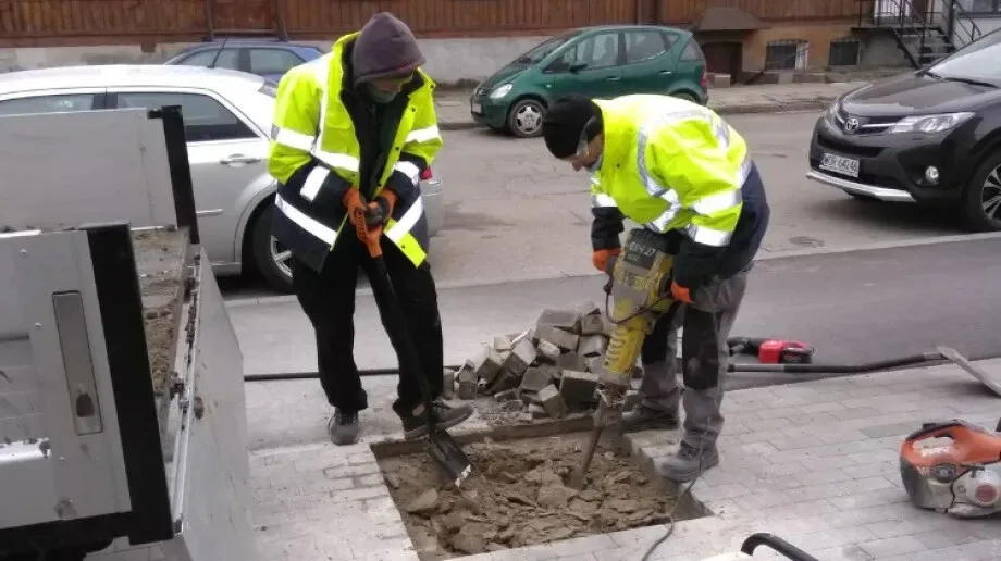 Będą nowe drzewa przy ulicy Batorego