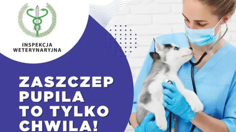 Kampania informacyjna 'Zaszczep pupila, to tylko chwila!'
