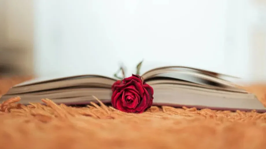 Zakochaj się w czytaniu z ostrowską biblioteką