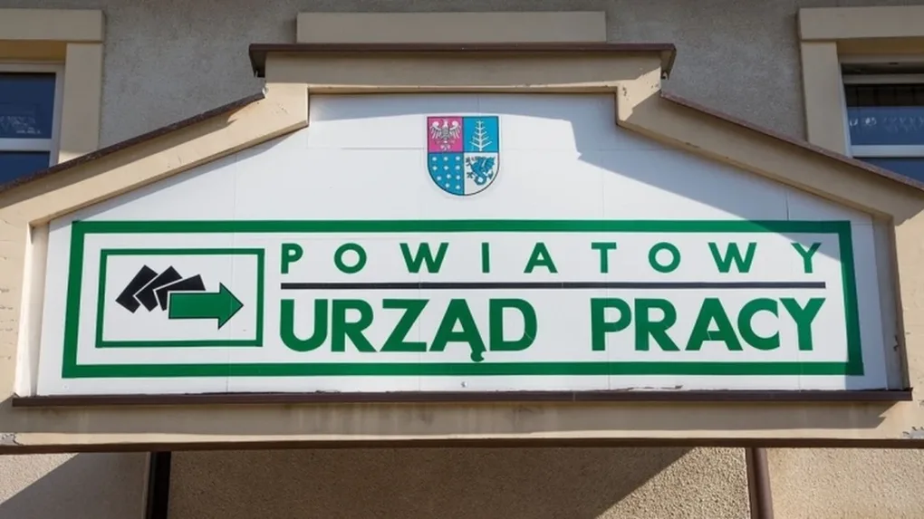 Aktualne oferty pracy