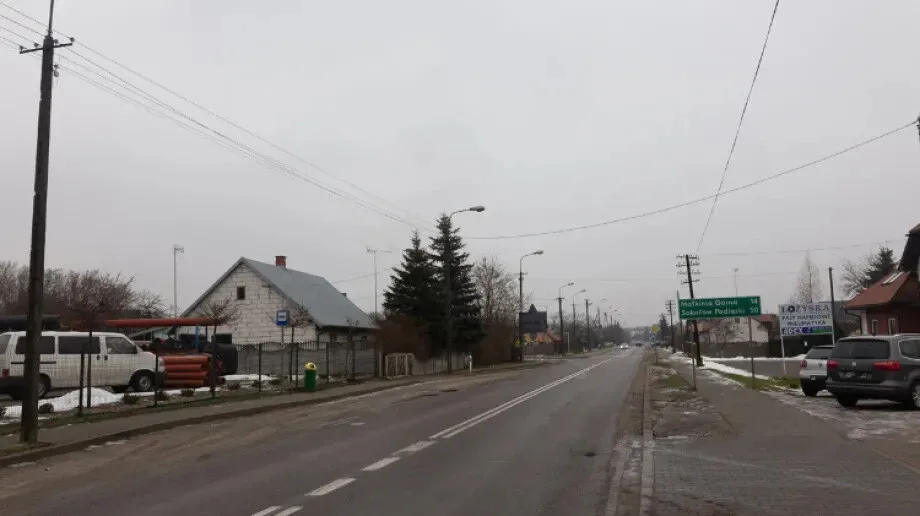 Przedwiośnie w pełni. Dużo słońca w najbliższych dniach