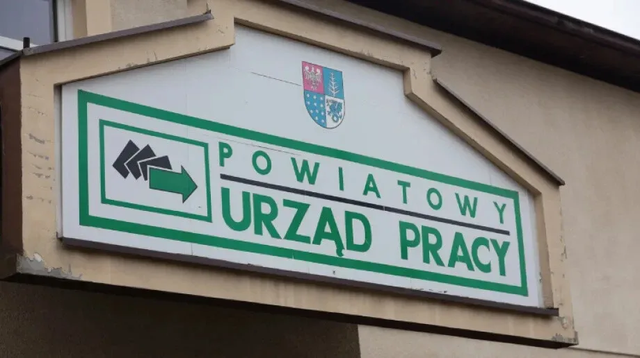 Oferty pracy i stażu