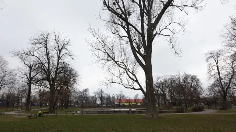 Sobota bez opadów na południu. Lokalnie mogą pojawić się burze