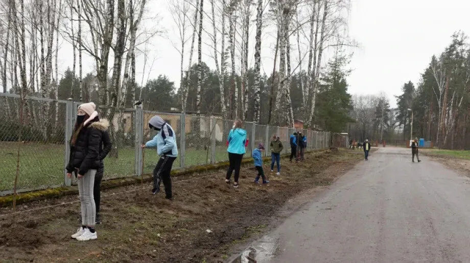Uczniowie ostrowskiej czwórki posadzili drzewka (zdjęcia)
