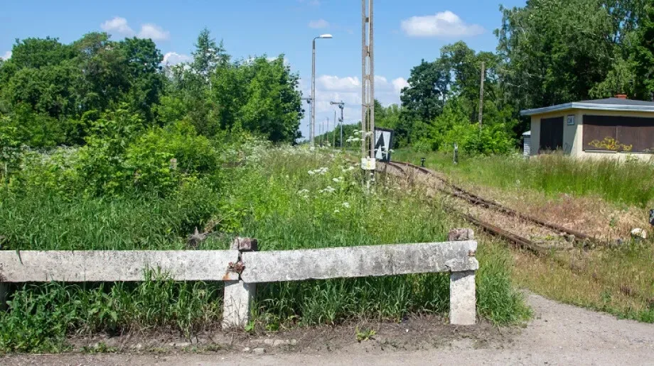 Zarośla przy ul. Wesołej zostaną wycięte