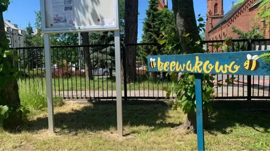Ekologiczny ogródek przed 'Kopernikiem'