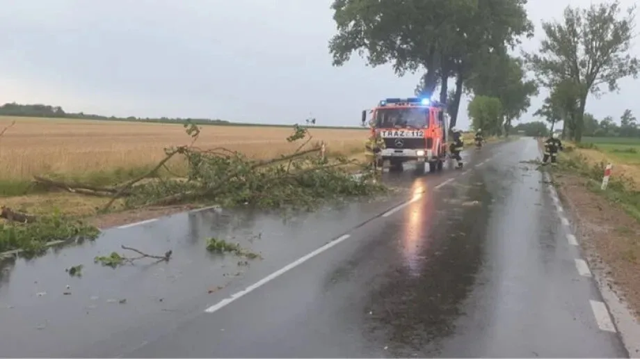 Powalone drzewa w gminie Andrzejewo