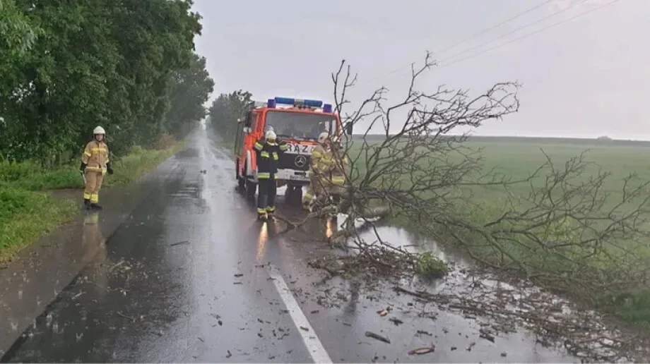 Strażacy z OSP Andrzejewo usuwają pozostałości po wichurze