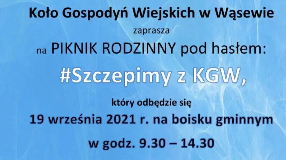 Piknik rodzinny z Kołem Gospodyń Wiejskich w Wąsewie
