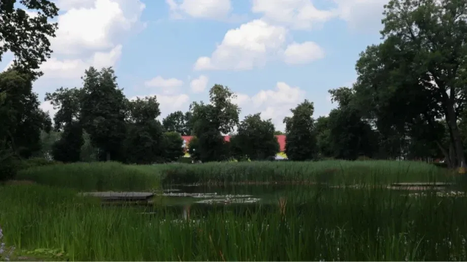 Słonecznie, ale troszkę chłodniej. Pogoda na najbliższe dni
