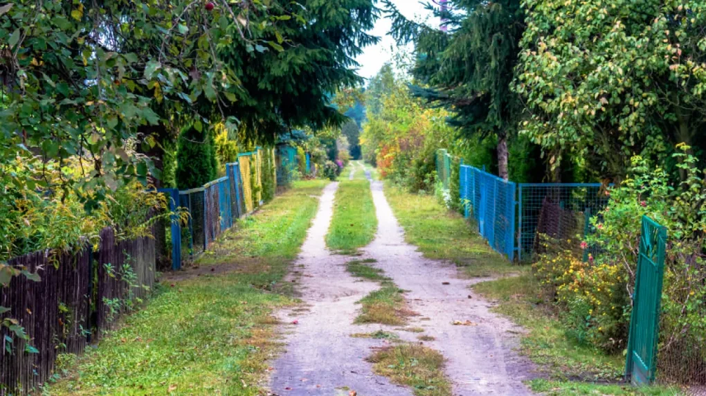 Złodzieje nie próżnują, okradli ogródek działkowy