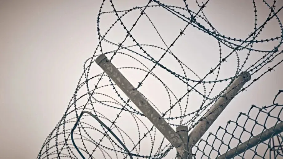 Małżeństwo brutalnie napadnięte przez dwóch braci na grzybobraniu