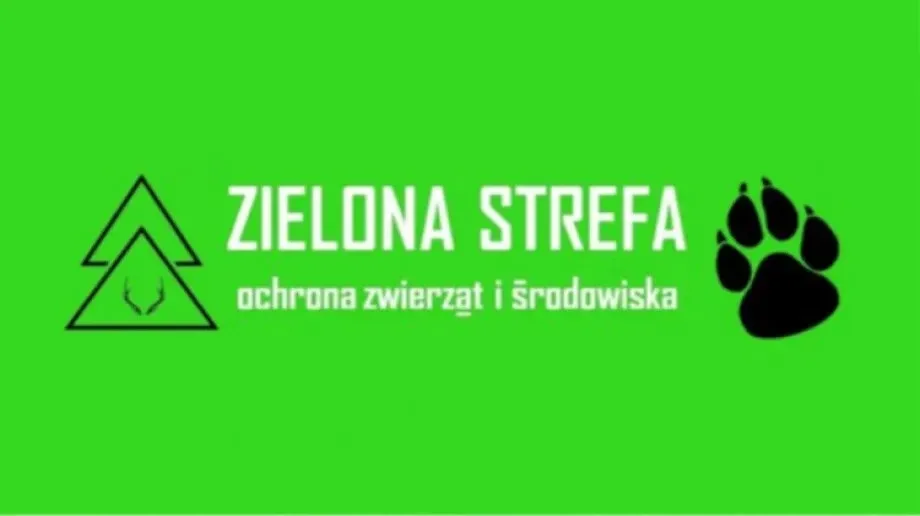Reagujmy, gdy widzimy cierpienie zwierząt!