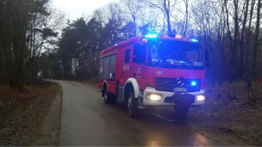 Powalone drzewo w gminie Zaręby Kościelne