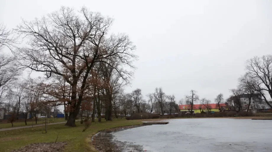 Opady śniegu na południu i zachodzie Polski. Pogoda na czwartek