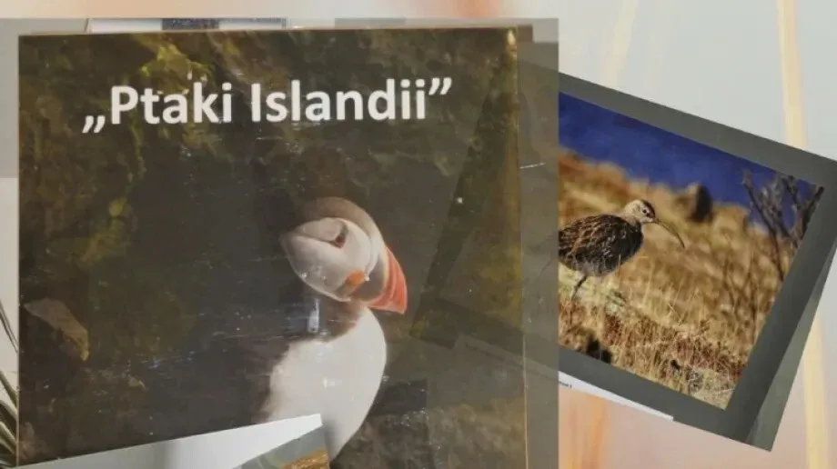 Wystawa Jerzego Sikorskiego pt. 'Ptak Islandii' w Ostrowi Mazowieckiej