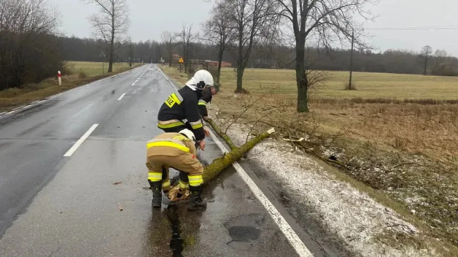  Strażacy usunęli gałąź drzewa z drogi na terenie gminy Brok