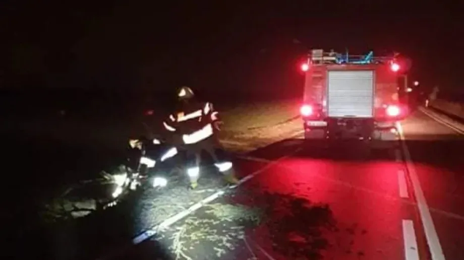 Powalone drzewo w miejscowości Zaręby Warchoły