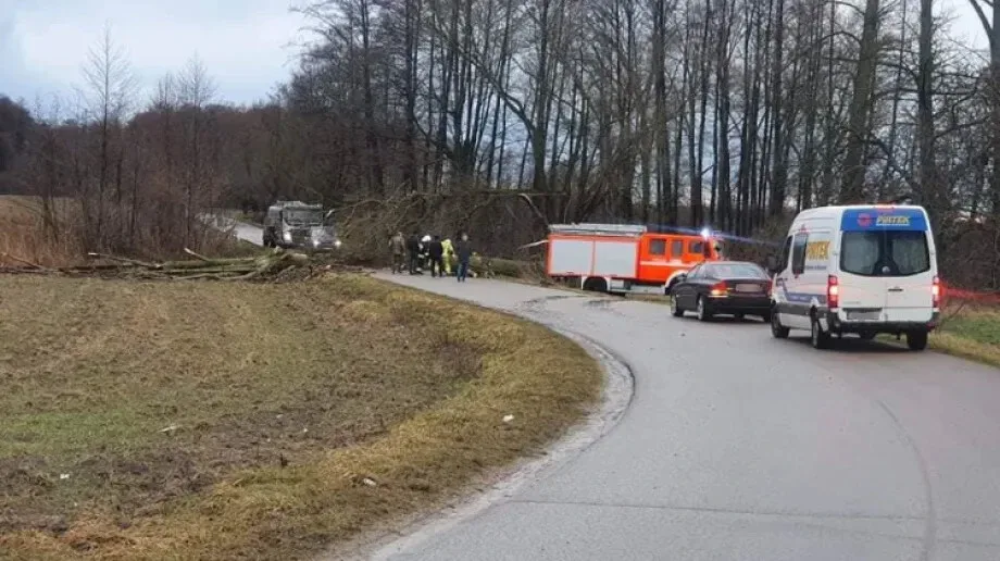 Strażacy usuwali powalone drzewo, ktore blokowalo drogę