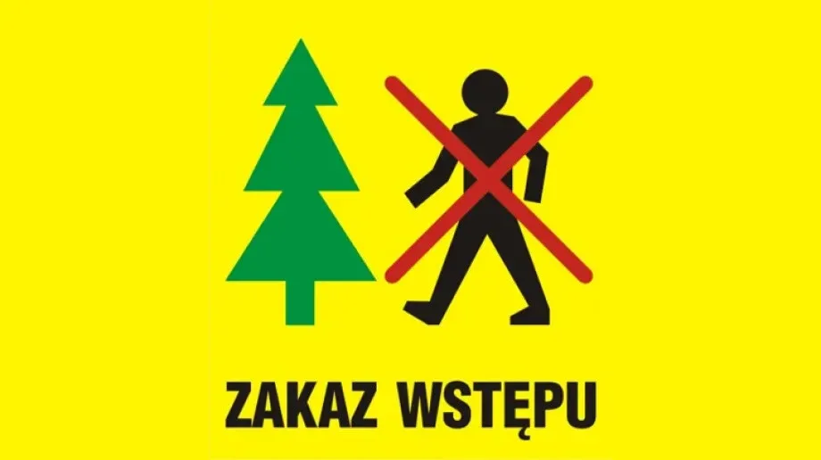 Wydano okresowy zakaz wstępu do lasów!