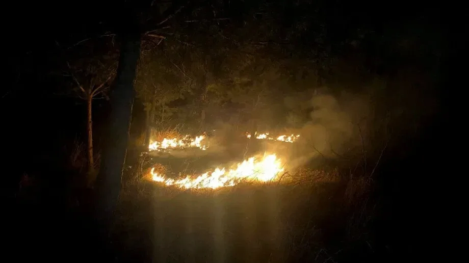 Pożar trawy na ulicy Czuraj w Broku
