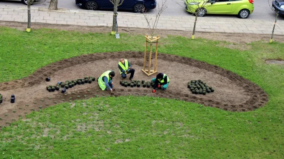 W Ostrowi Mazowieckiej powstał 'Motyli kącik' 