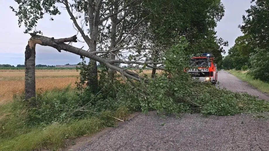 KSRG OSP w Andrzejewie zadysponowany do wiatrołomu 