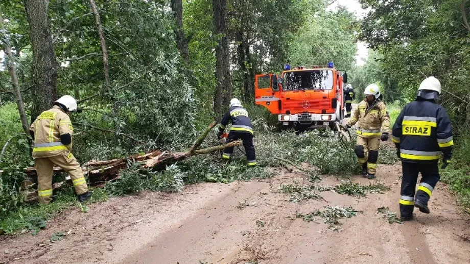 Powalone drzewo na terenie gminy Stary Lubotyń