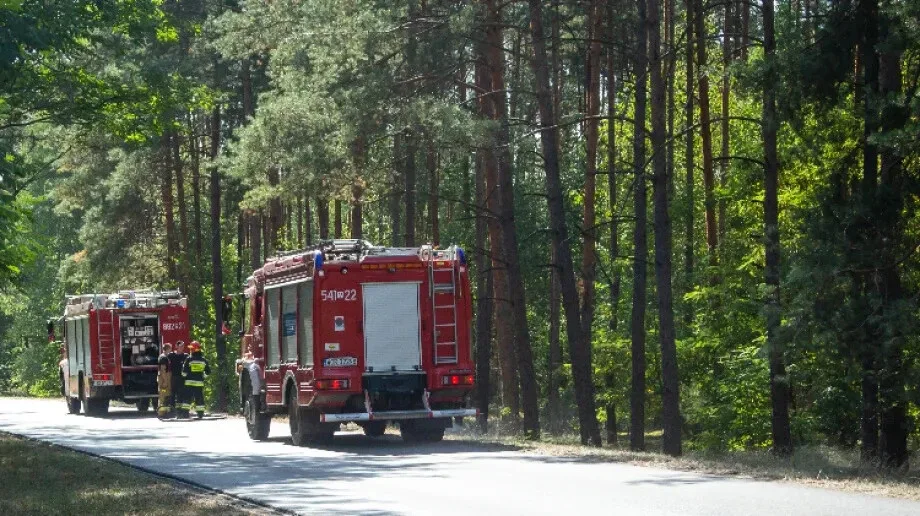 Pożar lasu przy ulicy Piaski w Komorowie
