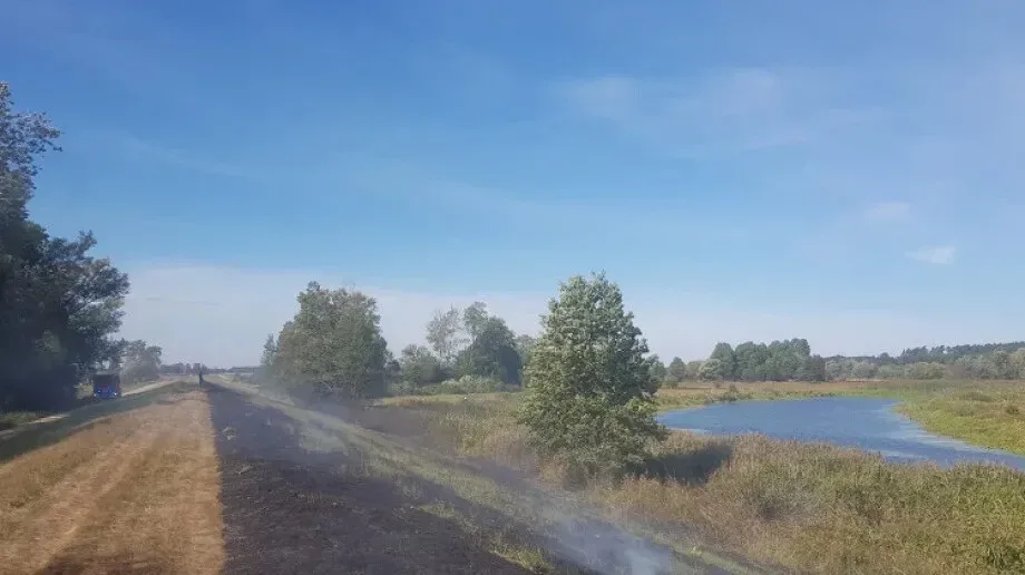 Pożar w miejscowości Kiełczew. Ogień zajął około 40 arów trawy