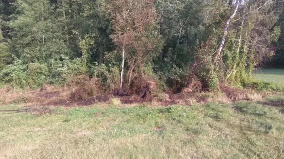 Pożar lasu w okolicach miejscowości Kępiste-Borowe