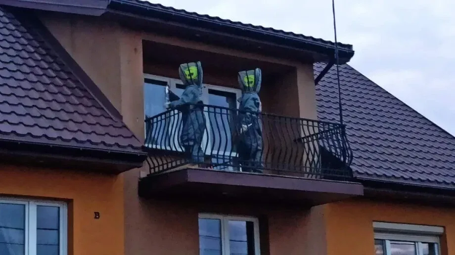 Strażacy usuwali gniazdo os