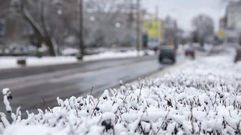 Zima w Polsce. Chłód i opady śniegu