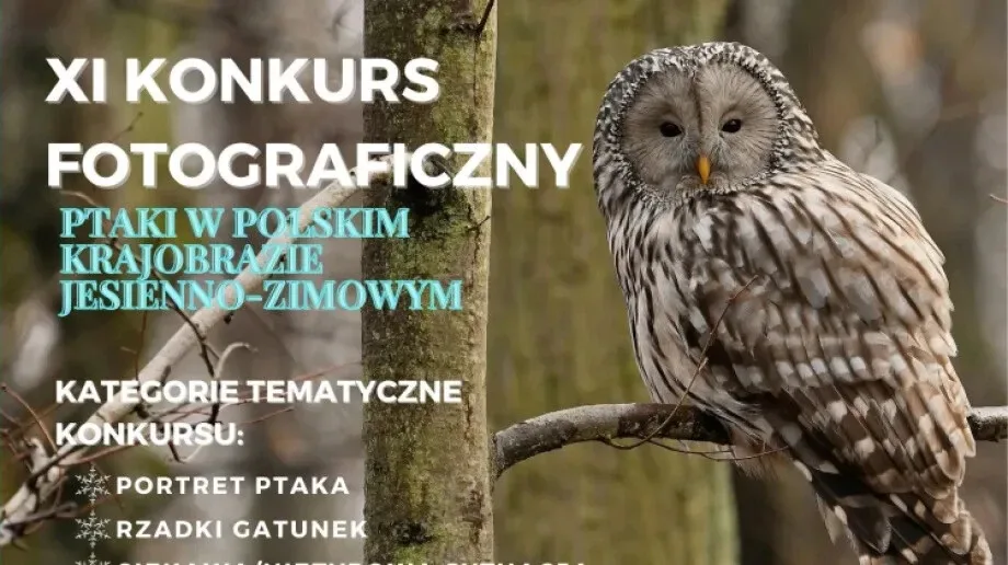 Ruszyła XI edycja konkursu pt. 'Ptaki w polskim krajobrazie jesienno-zimowym'