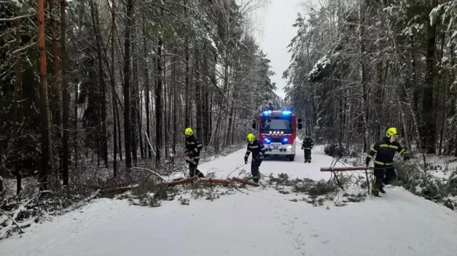 Intensywny czas dla strażaków. Wiele drzew blokowało drogi na terenie gminy Boguty-Pianki 