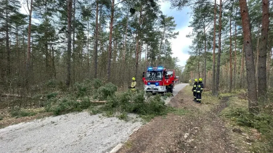 Powalone drzewo w Bojanach uniemożliwiało bezpieczny przejazd