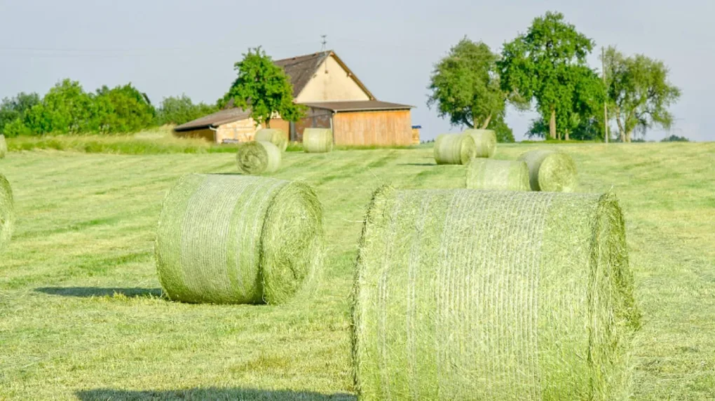 Szkolenie dla rolników w gminie Boguty-Pianki