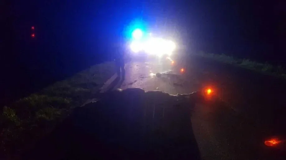 Kolizja samochodu z łosiem - dramatyczne zderzenie na wojewódzkiej