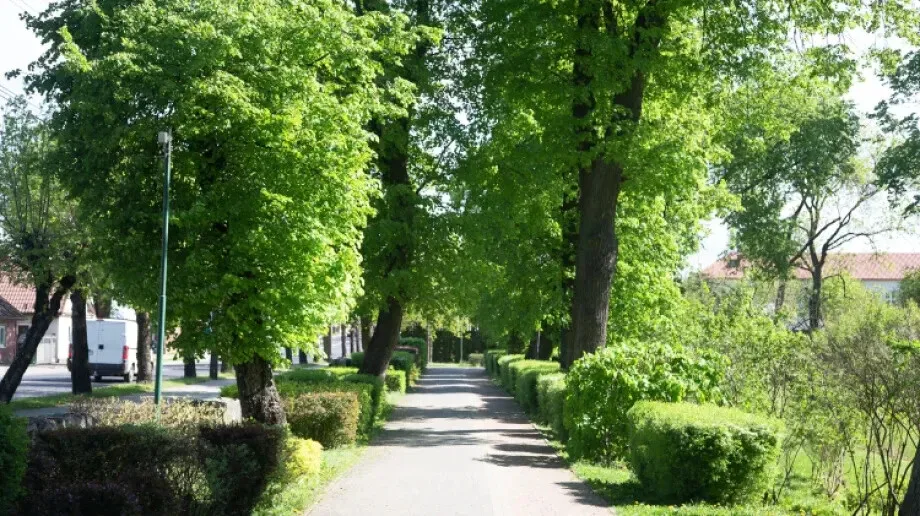 Sobota z umiarkowaną temperaturą. Na północy burze