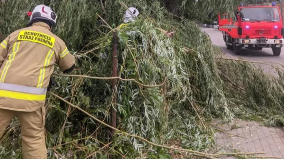 Strażacy usunęli złamany konar z drogi w Starym Lubotyniu