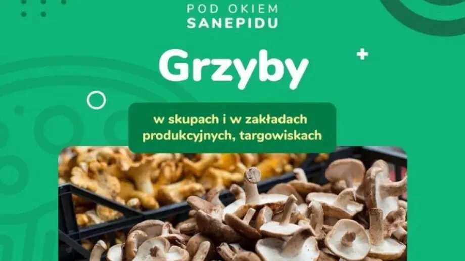 Kupując grzyby bądź pewien ich źródła!