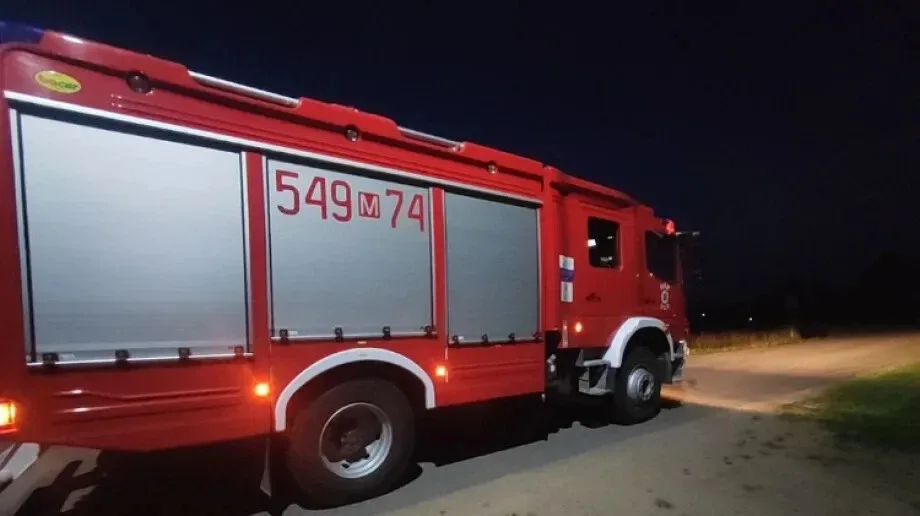 Strażacy usunęli gniazda owadów błonkoskrzydłych